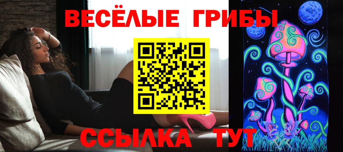Спасск-Дальний  Псилоцибиновые грибы Psilocybine cubensis  Вход с VPN 