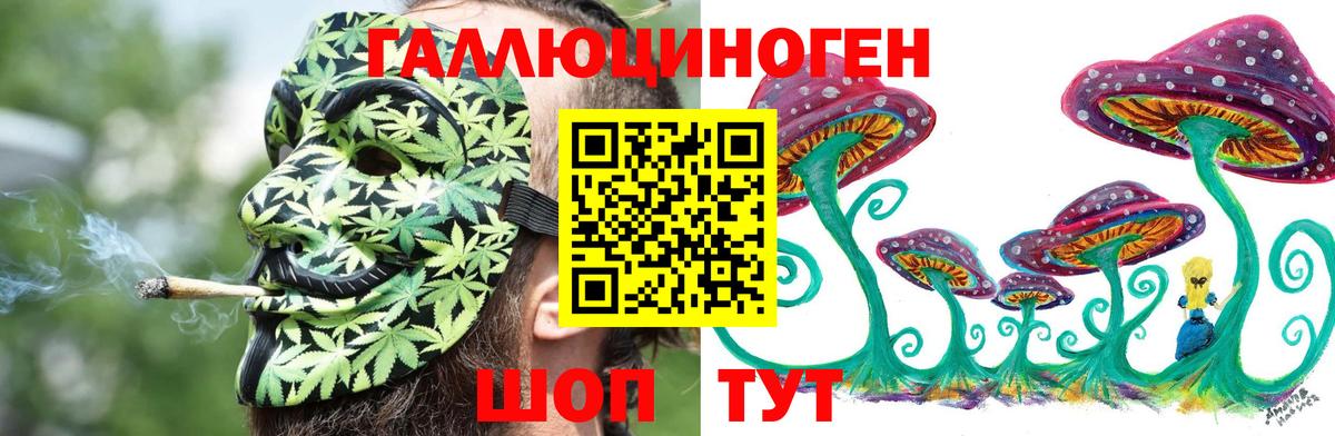 Галлюциногенные грибы прущие грибы Спасск-Дальний